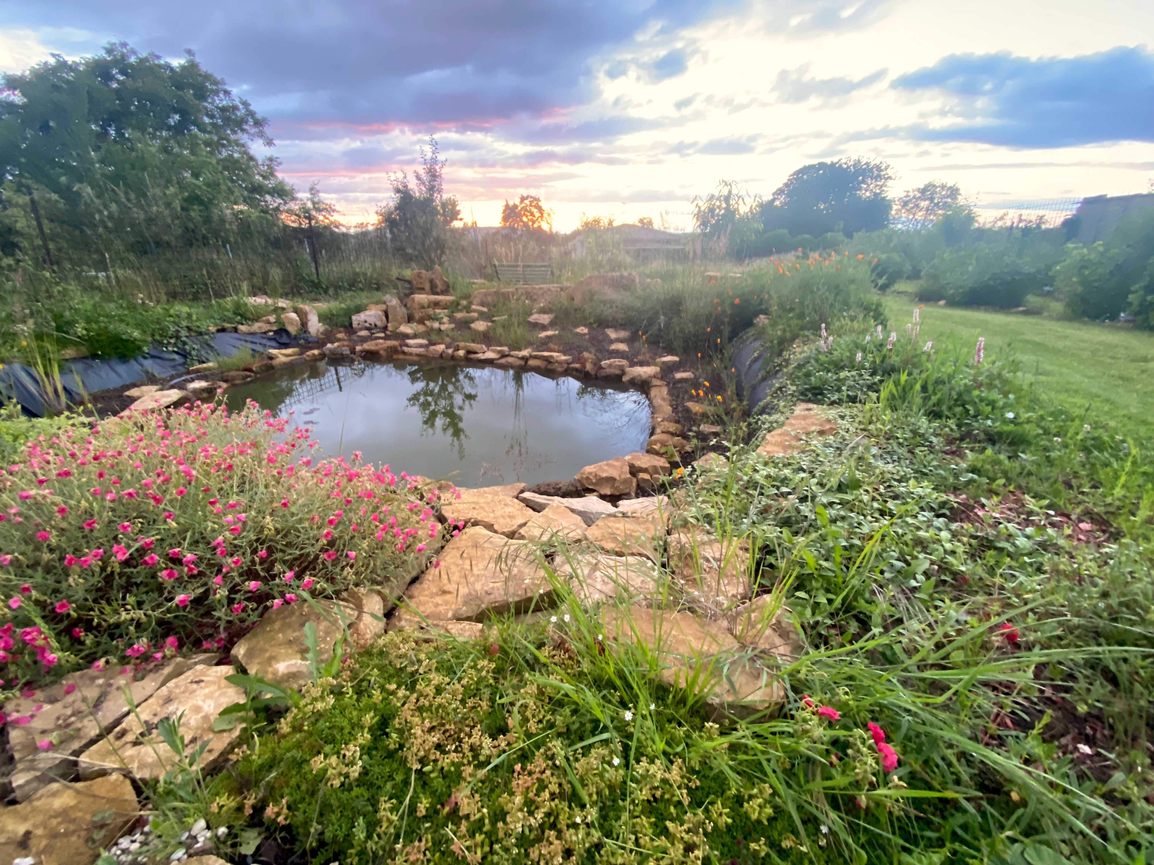 &Eacute;tang du jardin au coucher du soleil