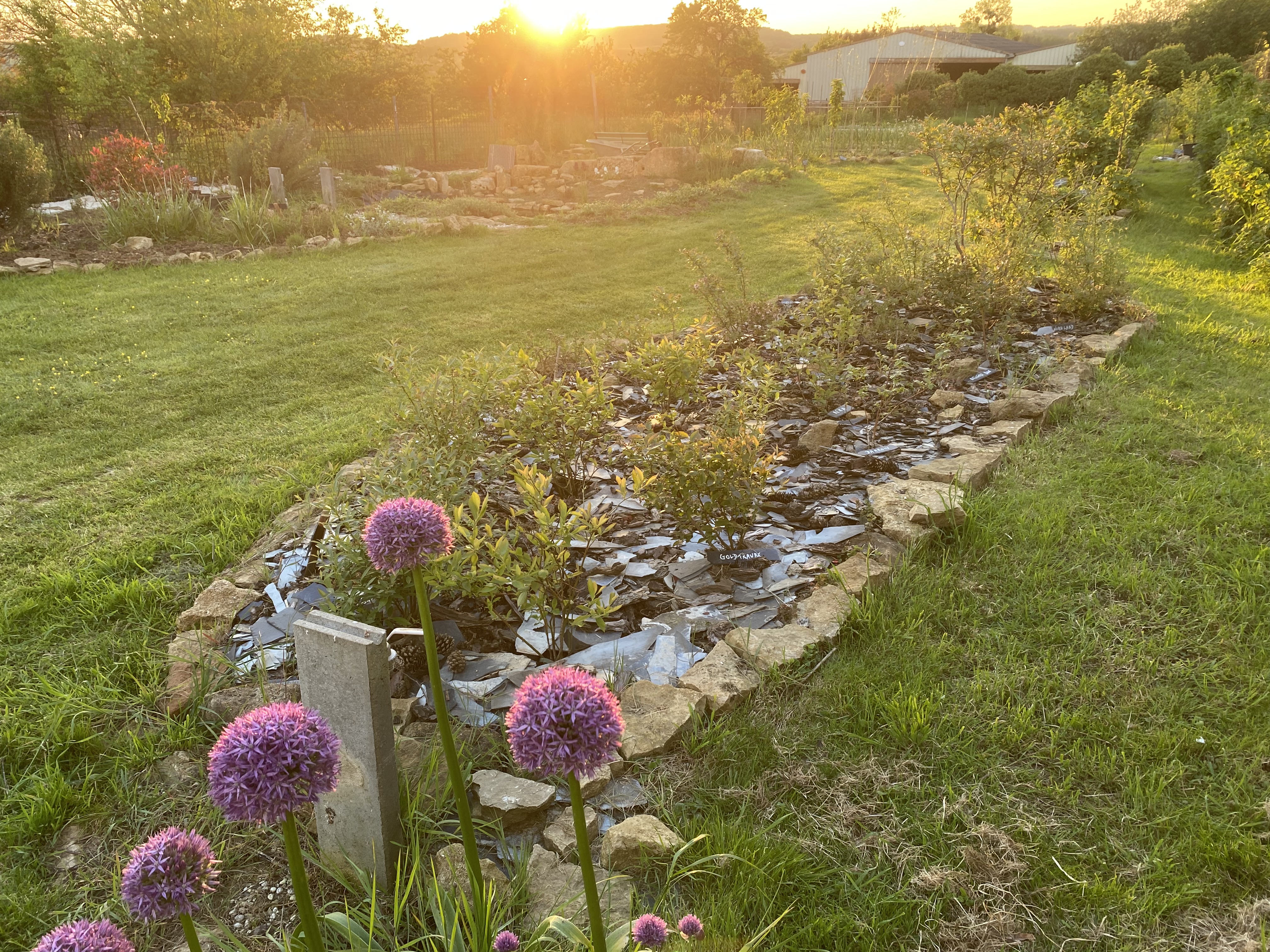 Massif de fleurs au printemps